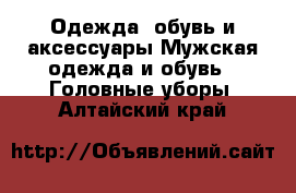 Одежда, обувь и аксессуары Мужская одежда и обувь - Головные уборы. Алтайский край